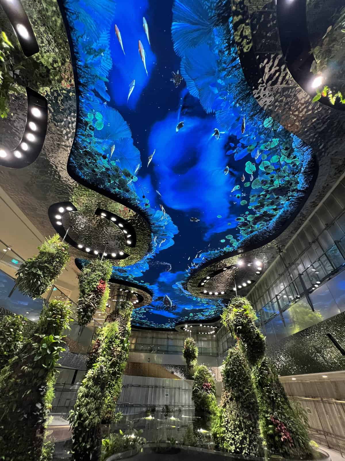 Looking up at the nighttime scenes of Dreamscape, immersive experience in T2 Changi Airport Singapore
